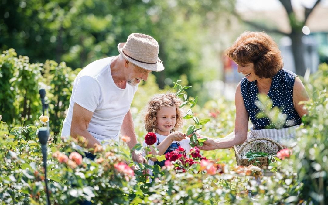 Gardening With Hearing Aids