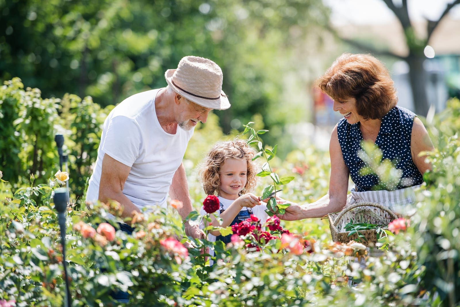 Gardening With Hearing Aids